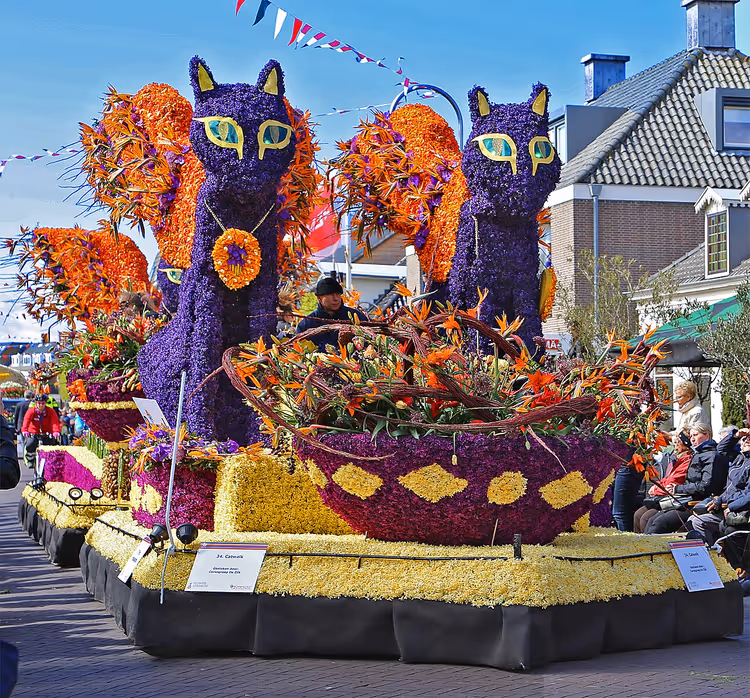 Blomsterflåte med lilla katter i paraden
