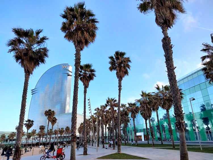 Hotel W Barcelona hinter einer von Palmen gesäumten Promenade