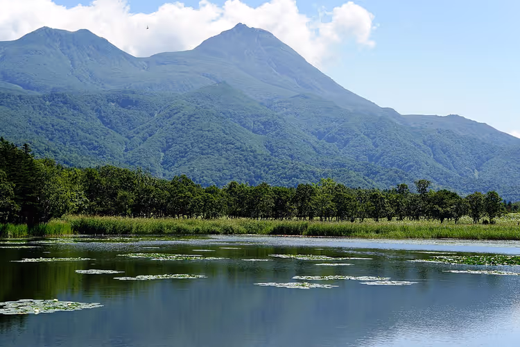 See mit Seerosen, Wald und Bergen von Hokkaido