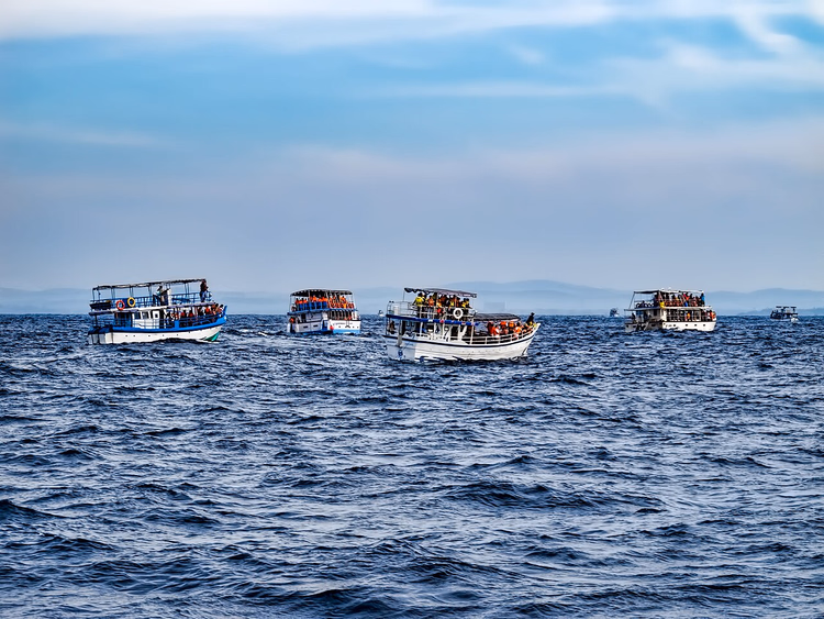 Boote zum Whale Watching im Ozean