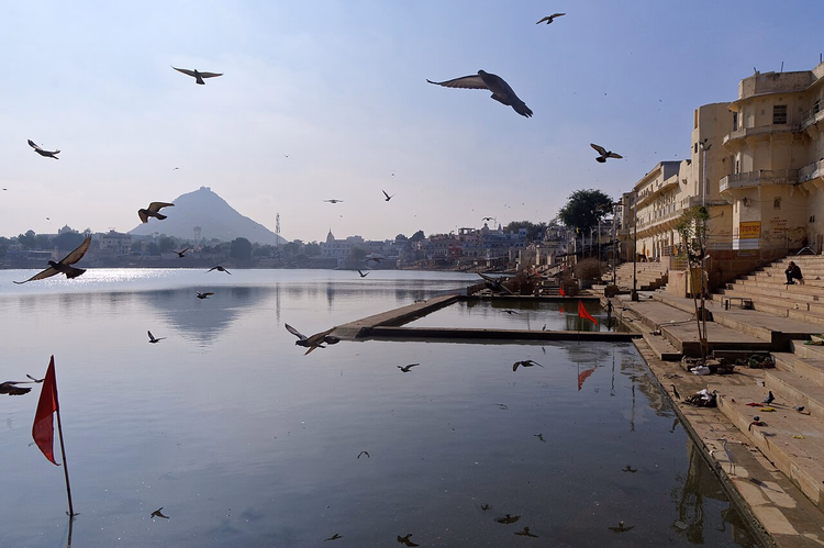 Ghats am Pushkar-See mit auffliegenden Tauben
