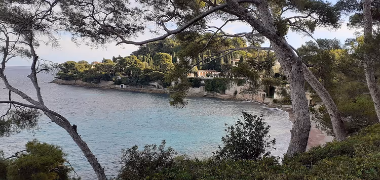 Çam dallarının arasından görünen Paloma plajı koyu
