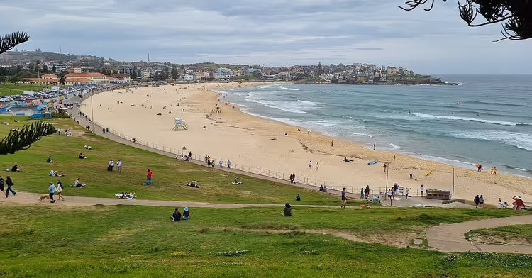 Bondi Beach med grønn skråning og hav