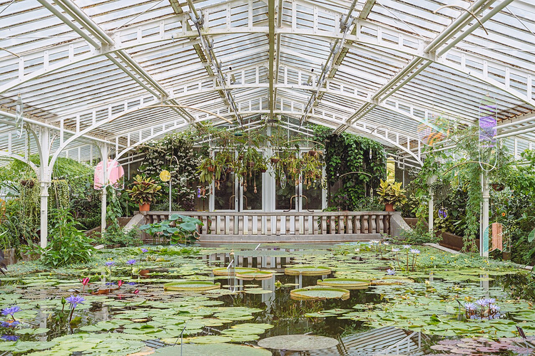 Kas met vijver en waterlelies in de Botanische Tuin