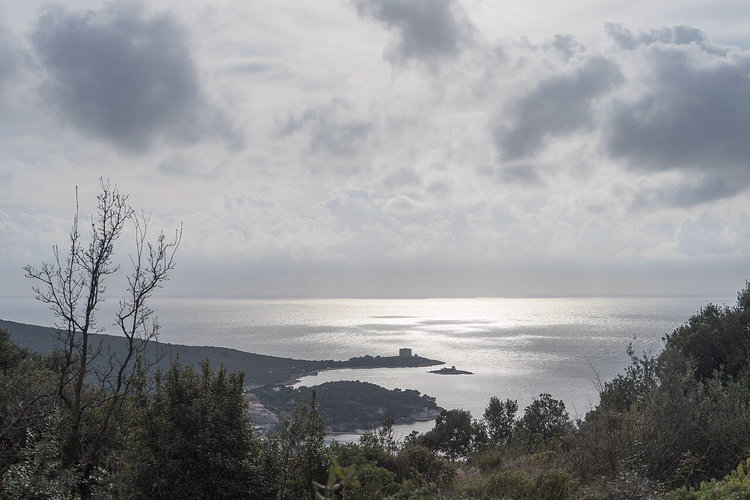 Blick auf das Meer und ein Kap von der Halbinsel Luštica