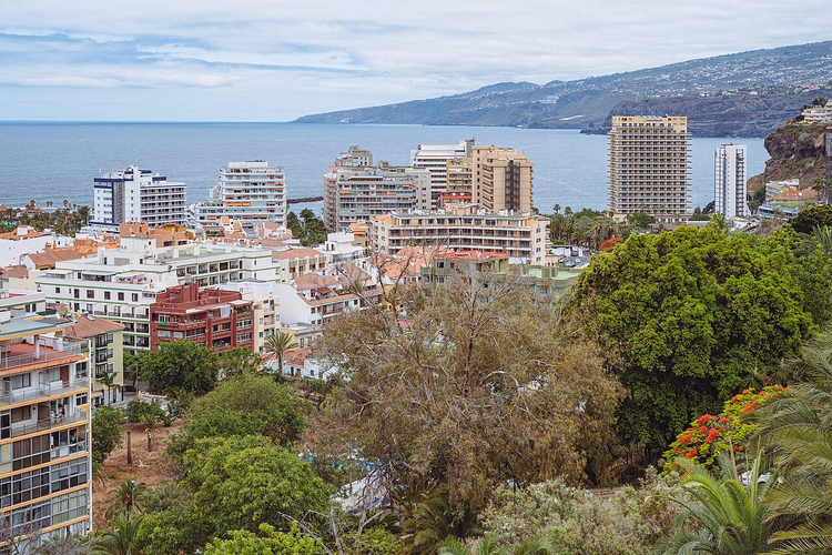 Puerto de la Cruz'un üzerindeki Taoro Parkı'nın yeşilliği