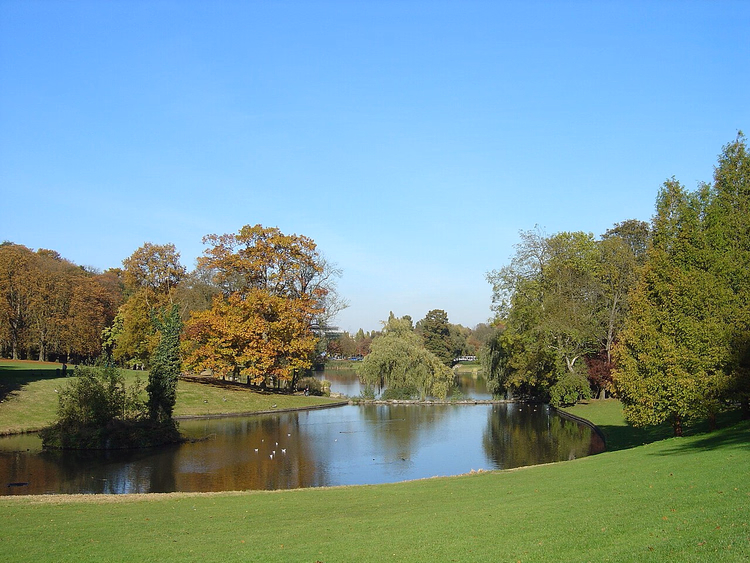 Vijver in het Woluwepark op een herfstdag