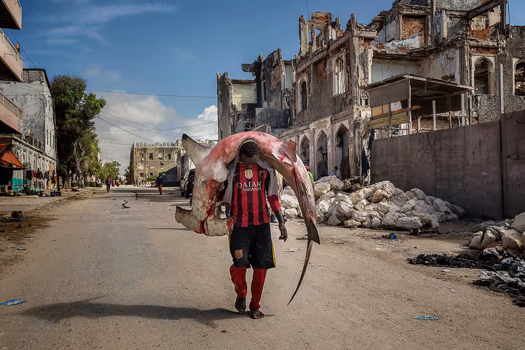 Mann som bærer en hammerhai gjennom en gate i Mogadishu