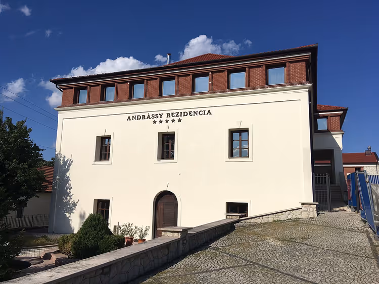 Wijnhellingen en kelders bij de stad Tarcal