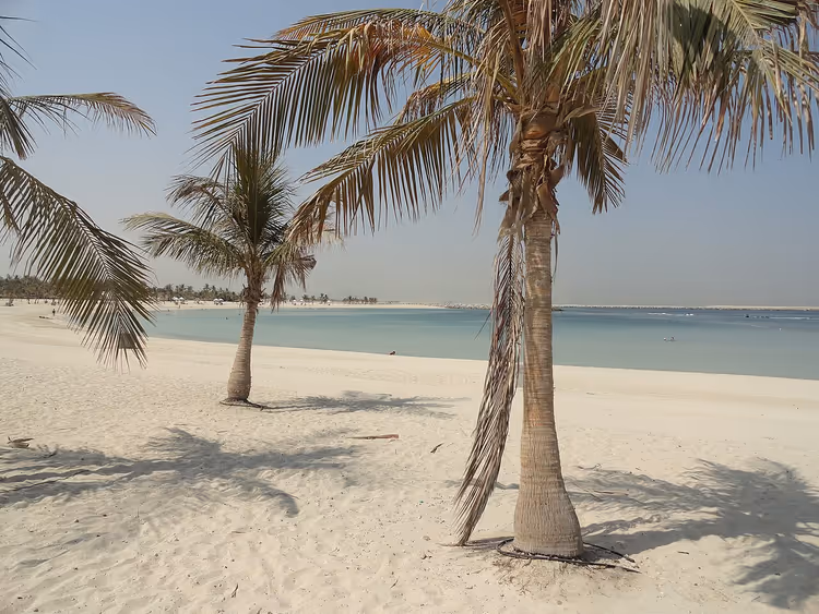 Palmbomen op het zandstrand van Al Mamzar Lagoon