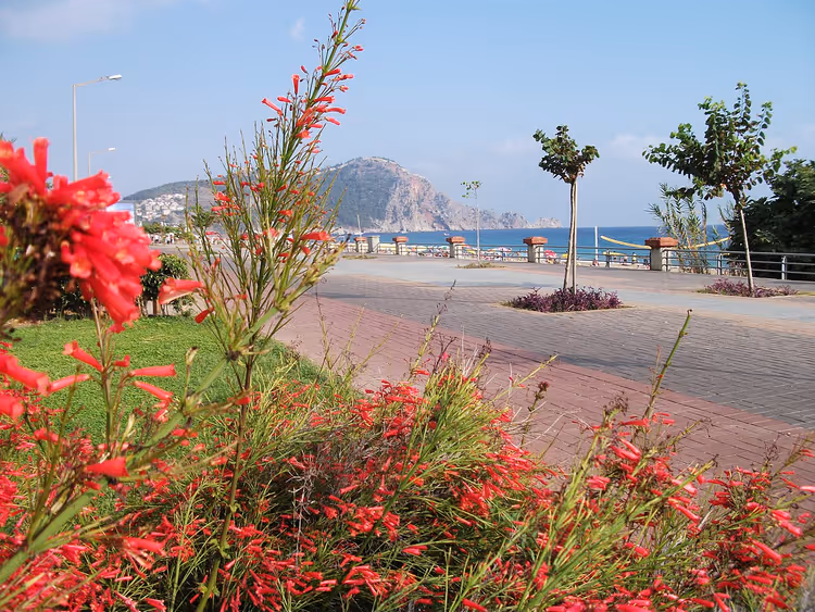 Boulevard van Alanya met rode bloemen en de zee