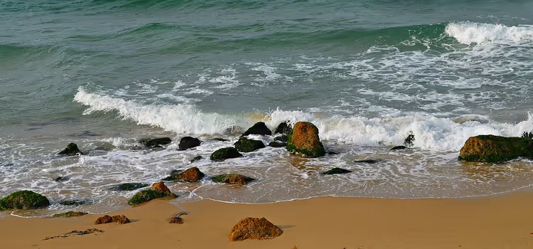 Onde che si infrangono sugli scogli con alghe