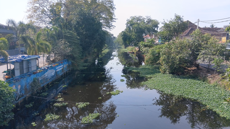 Kanal in Alleppey zwischen Palmen und Wasserhyazinthen