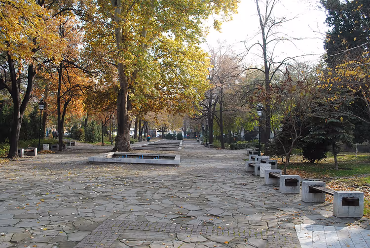 Pad in een herfstpark met bankjes
