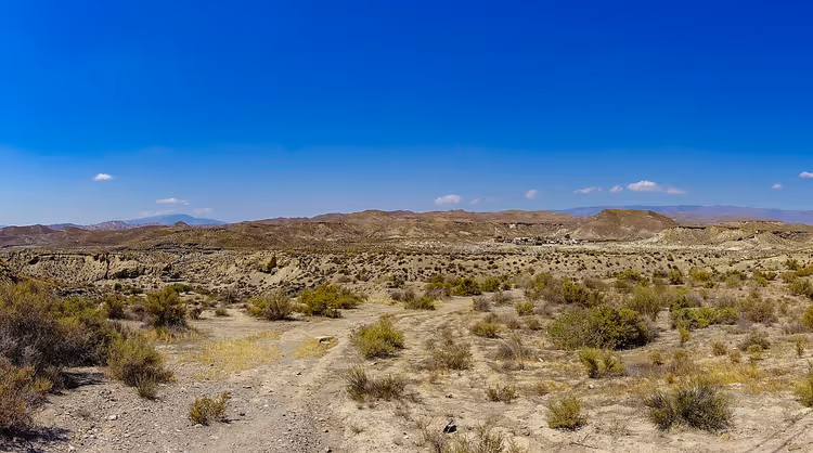 Tørt landskap i Tabernas-ørkenen med busker og åser