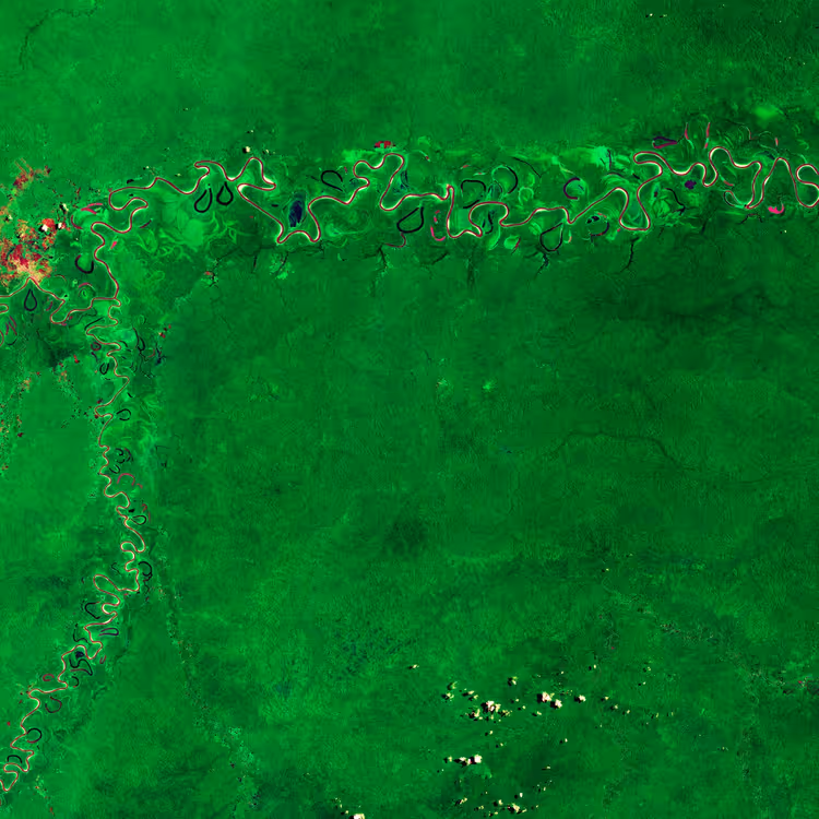 Satellietbeeld van het Amazone-regenwoud met een kronkelende rivier