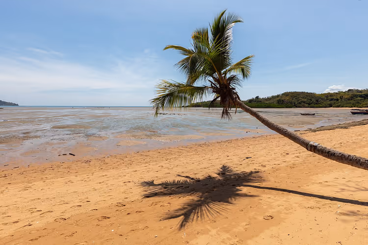 Sandstrand med en palme på Nosy Be