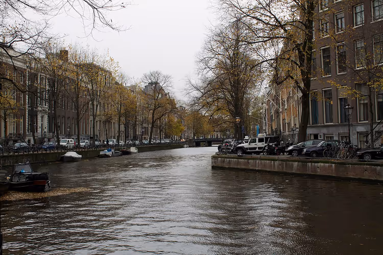 Amsterdamer Stadtgracht mit Häusern und Bäumen