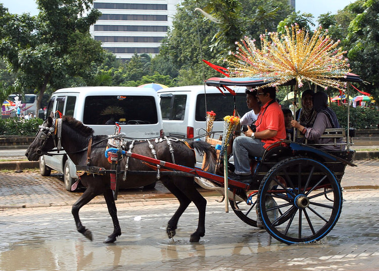 Geschmückter Pferdewagen auf einer Straße in Indonesien