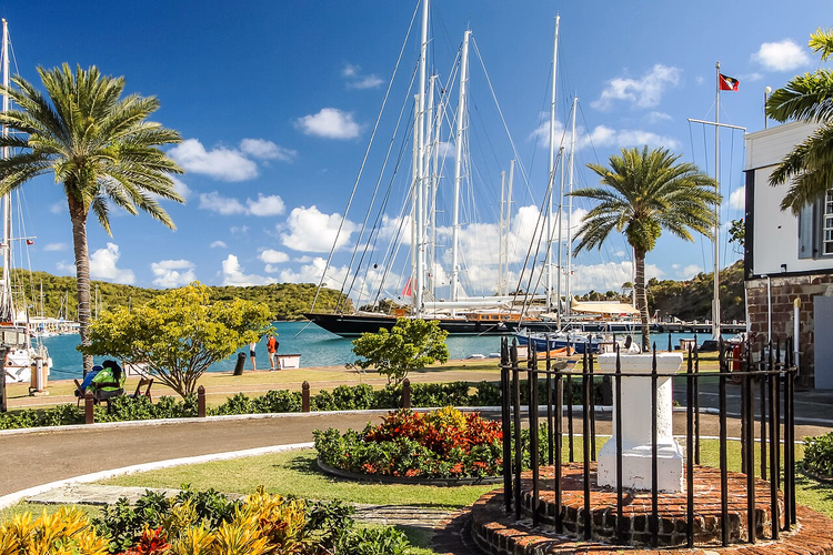 Antigua Nelson's Dockyard'da yatlar ve palmiyeler