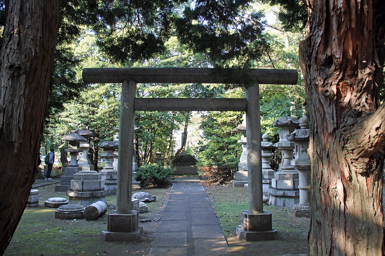 Torii e lanterne di pietra al cimitero di Aoyama