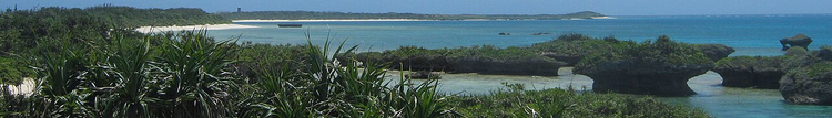 Korallstrand og turkis lagune på Panari Island