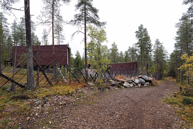 Arctic TreeHouse majakesed mändide vahel tee ääres