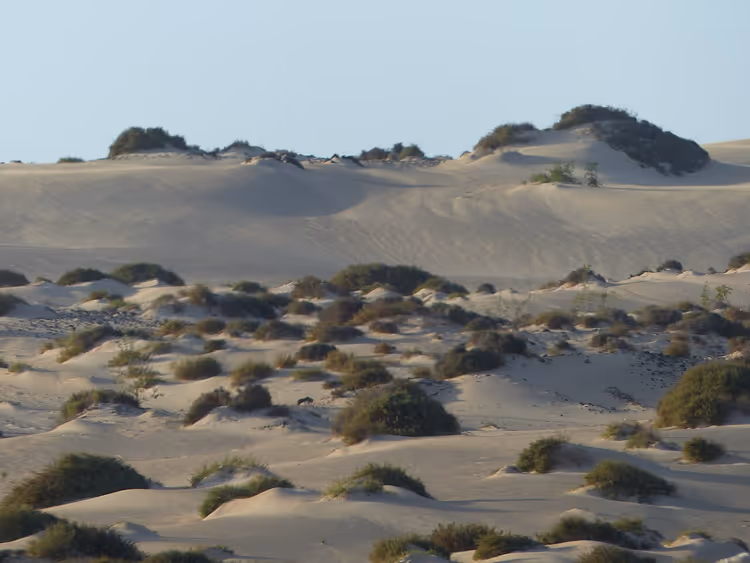 Corralejo dunes in Fuerteventura