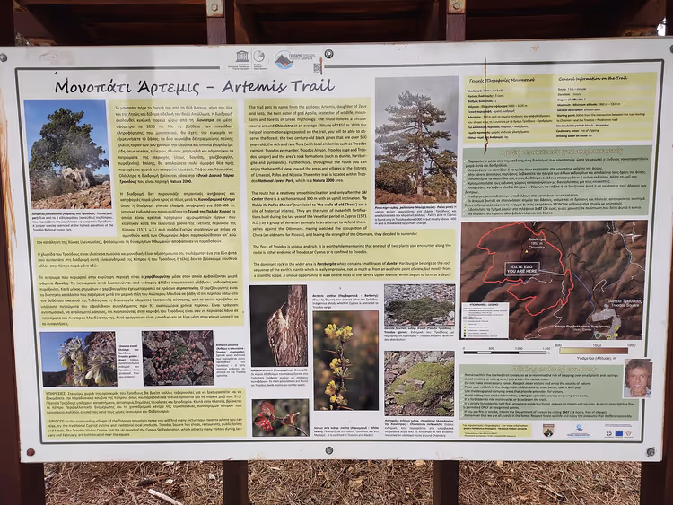 Artemis-Pfad zwischen Kiefern am Mount Olympus