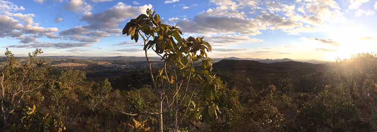 Uitzicht vanaf een heuveltop op de cerrado met bomen en struiken