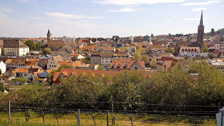 Panorama von Bad Dürkheim mit Ziegeldächern und Weinberg