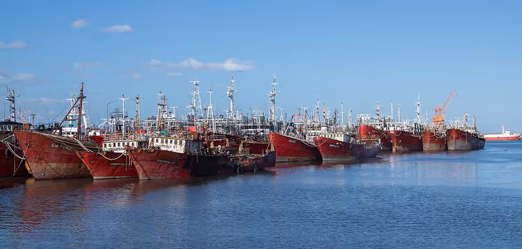 Fiskebåter fortøyd ved en brygge i en havn