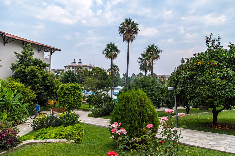 het terrein van Barut Hemera met palmbomen en tuin