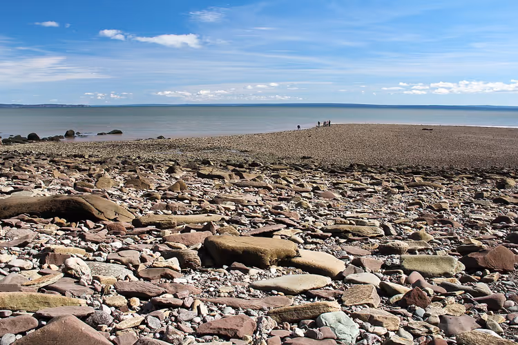 Steinete strand ved Fundybukta ved fjære sjø