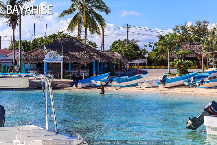 Bayahibe Plajı'nda tekneler ve palmiye ağaçları