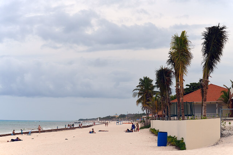 Hvit strand med palmer i Playa del Carmen
