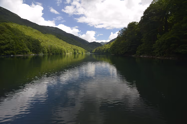 Fjellvann i skog, Biogradska Gora nasjonalpark