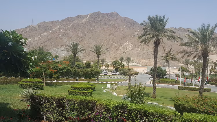 Hagelandskap med palmer og fjell i Fujairah