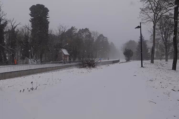 Snødekt vei med gjerde og trær