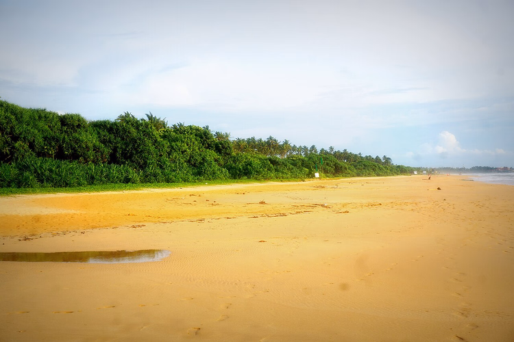 Breed zandstrand van Bentota met palmbomen