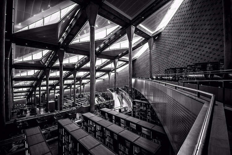 Sala di lettura a gradoni della Bibliotheca Alexandrina