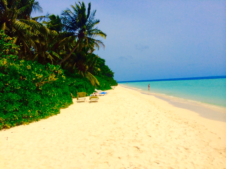 Strand met ligstoelen onder palmbomen op Biyadhoo