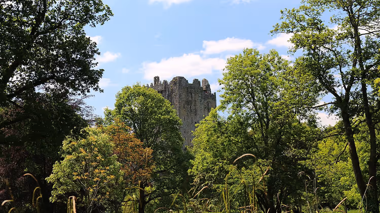 Kasteel van Blarney tussen groene parkbomen