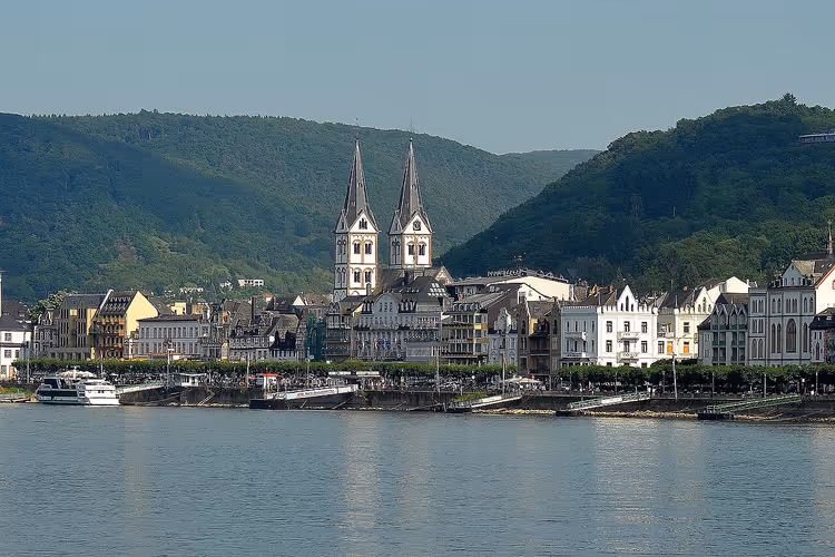 Weinberge Bopparder Hamm über dem Rhein