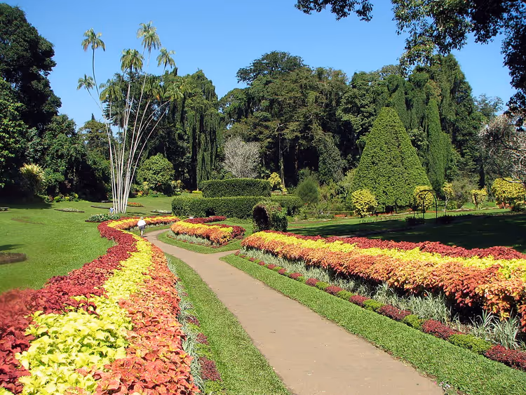Königlicher Botanischer Garten in Peradeniya