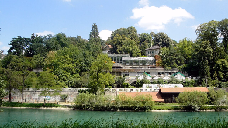Veksthusene i Berns botaniske hage over Aare