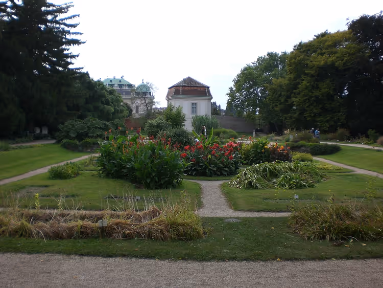 Stier og blomsterbed i den botaniske hagen i Wien