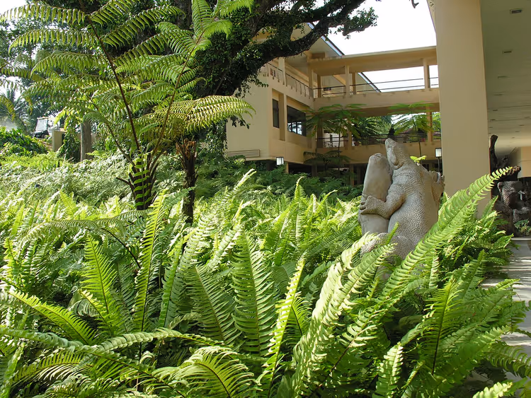Wit Botanic Centre-gebouw tussen tropische varens