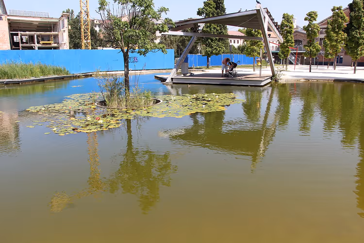 Vijver met waterlelies en een platform in Millenáris Park