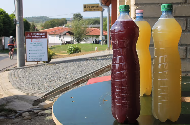 Junger Wein Burčák beim Fest